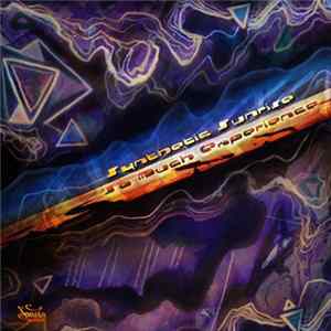 Synthetic Sunrise - So Much Experience flac