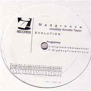 Madgroove - Evolution flac