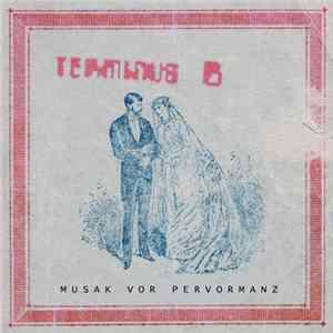Terminus B - Musak Vor Performanz flac