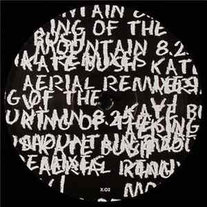 Kate Bush - King Of The Mountain (Radio Slave Remix) flac