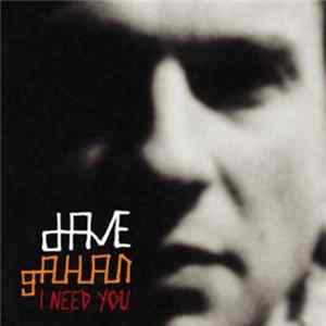 Dave Gahan - I Need You flac