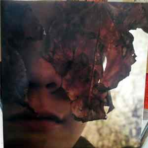 Homelife - Translation flac