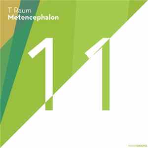 T Raum - Metencephalon flac