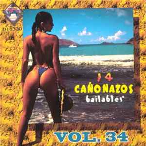 Various - 14 Cañonazos Bailables Vol. 34 flac