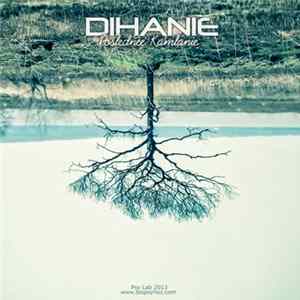 Biopsyhoz, Dihanie - Dihanie - Poslednie Kamlanie - Night Improvization #3 flac