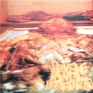 Severe Bowel Perforation - 300 Day Autopsy flac