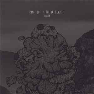 Kayo Dot / Tartar Lamb II - Kraków flac