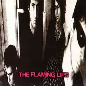 The Flaming Lips - In A Priest Driven Ambulance flac