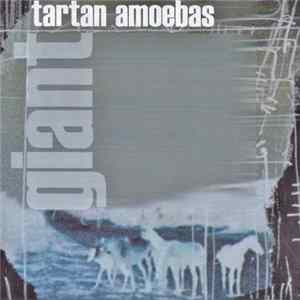 Tartan Amoebas - Giant flac