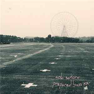 Aoki satoru - Prepared Bass XX flac