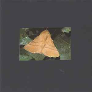 Darren Tate - Reflections On A Ceiling flac