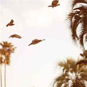Motohiko Hamase - Intaglio flac