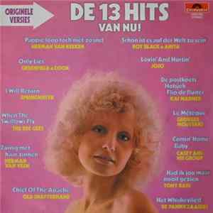 Various - De 13 Hits Van Nu flac