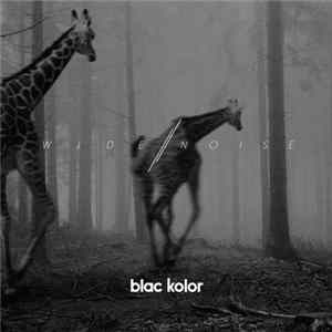 Blac Kolor - Wide Noise flac