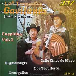 Los Tremendos Gavilanes Juan y Salomón - Corridos Vol. 2 flac