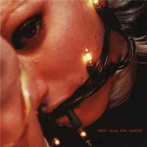 These Arms Are Snakes - This Is Meant To Hurt You flac