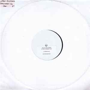 The Space Brothers - Everywhere I Go flac