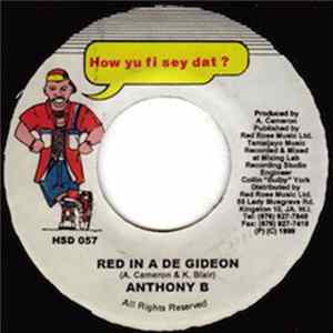 Anthony B - Red In A De Gideon flac