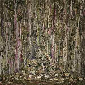 Piss Vortex - Piss Vortex flac