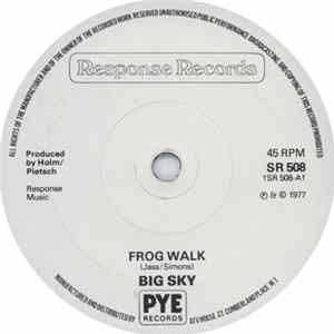 Big Sky - Frog Walk flac