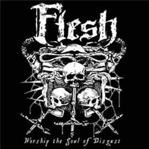 Flesh - Worship The Soul Of Disgust flac
