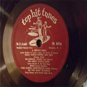 Various - Too Hit Tunes flac