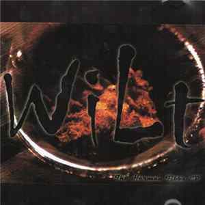 WiLT - The Herman Fibbs EP flac