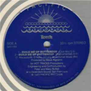 Torch - Build Me Up Buttercup flac