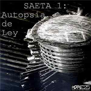 MA Pérez - Saeta 1: Autopsia De Ley flac