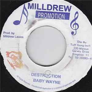 Baby Wayne - Destruction flac