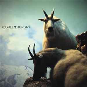Kosheen - Hungry (Martin Eyerer Mix) flac