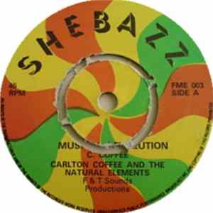 Carlton Coffee And The Natural Elements - Musical Revolution flac