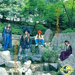 The Chinabowls - The Rare Tracks flac