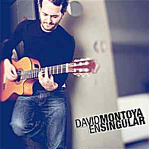 David Montoya - En Singular flac