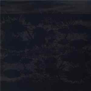 Moth Electret - Tocasen flac