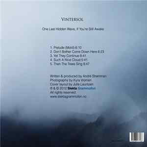 Vintersol - One Last Hidden Wave, If You're Still Awake flac