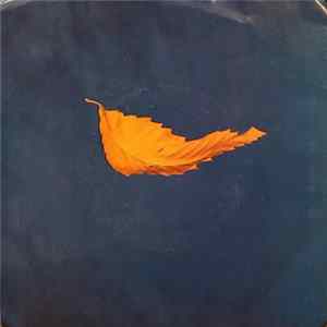 New Order - True Faith flac