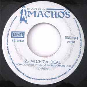 Banda Machos - Usted / Mi Chica Ideal flac