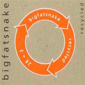 Big Fat Snake - Recycled flac