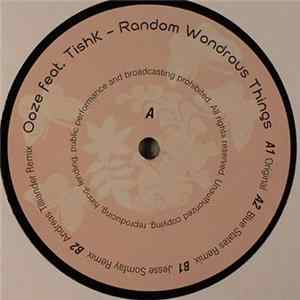Ooze feat. Tishk - Random Wondrous Things flac
