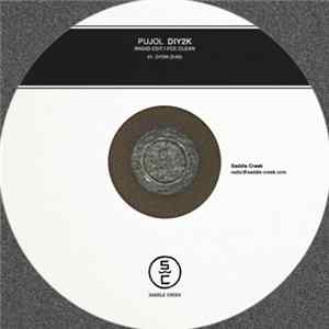 Pujol - DIY2K (Radio Edit) flac