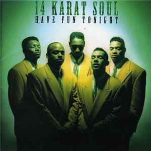 14 Karat Soul - Have Fun Tonight flac