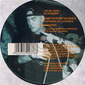 DJ Demand - Jump'in Pump'in Remix / Paradise flac