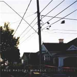 True Radical Miracle - Cockroaches flac