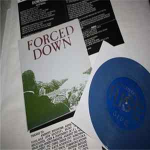 Forced Down - Rise flac