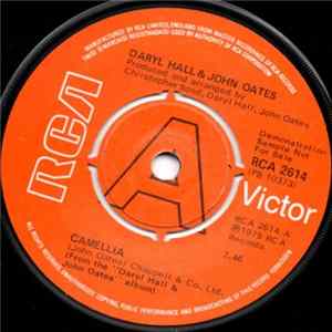 Daryl Hall & John Oates - Camellia flac