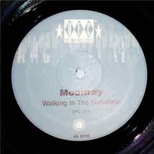 Moonray - Walking In The Sunshine flac