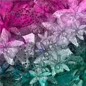 Digitaline - Okoubaka flac
