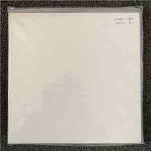 Sonic Youth - The Destroyed Room (B-Sides And Rarities) flac