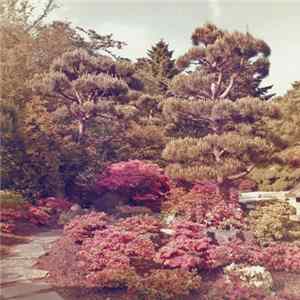 Michiru Aoyama - 音は光る (The Sound Is Shining) flac